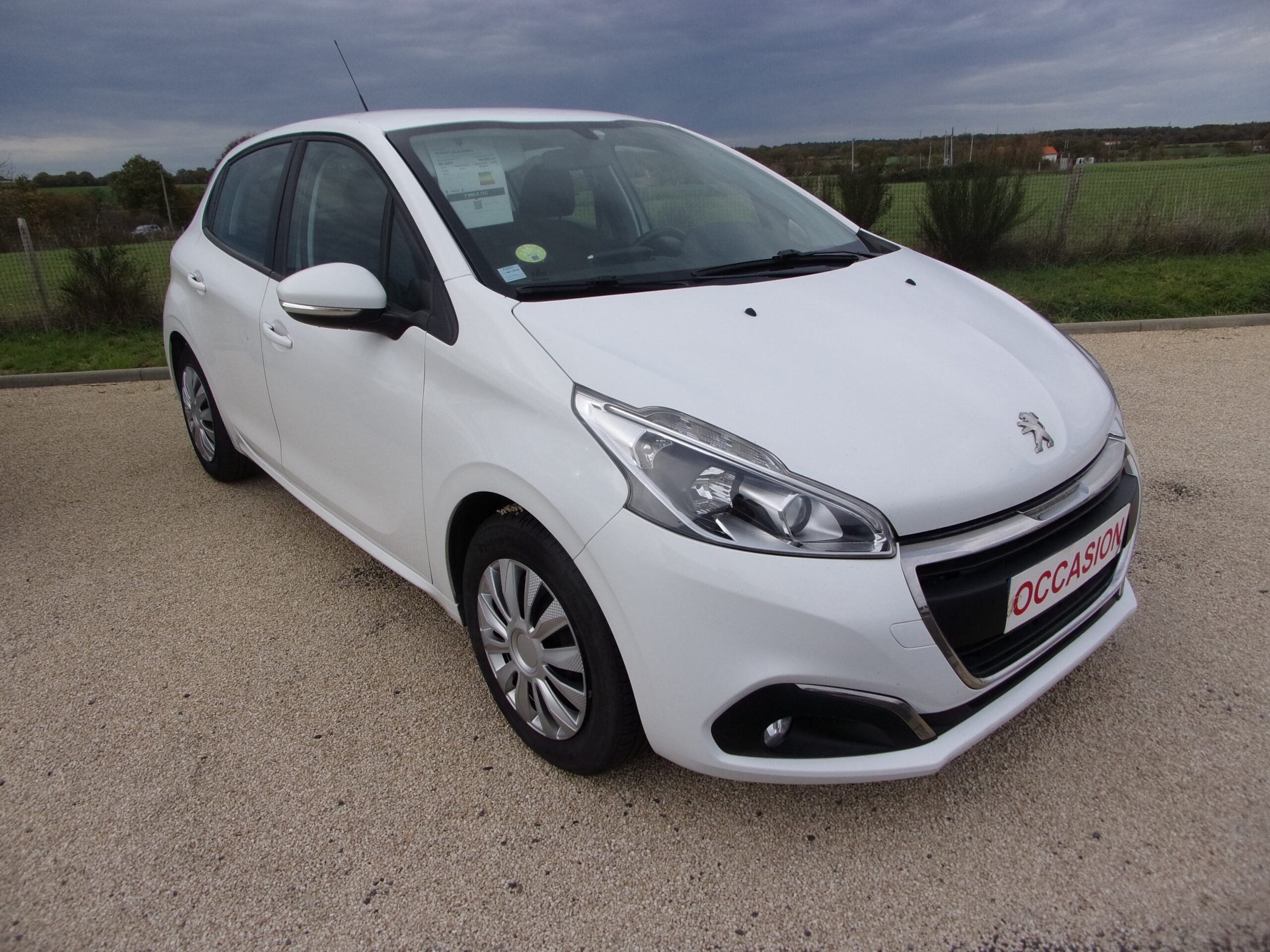 PEUGEOT 208 BUSINESS 1.6 BLUE HDI 75 CH